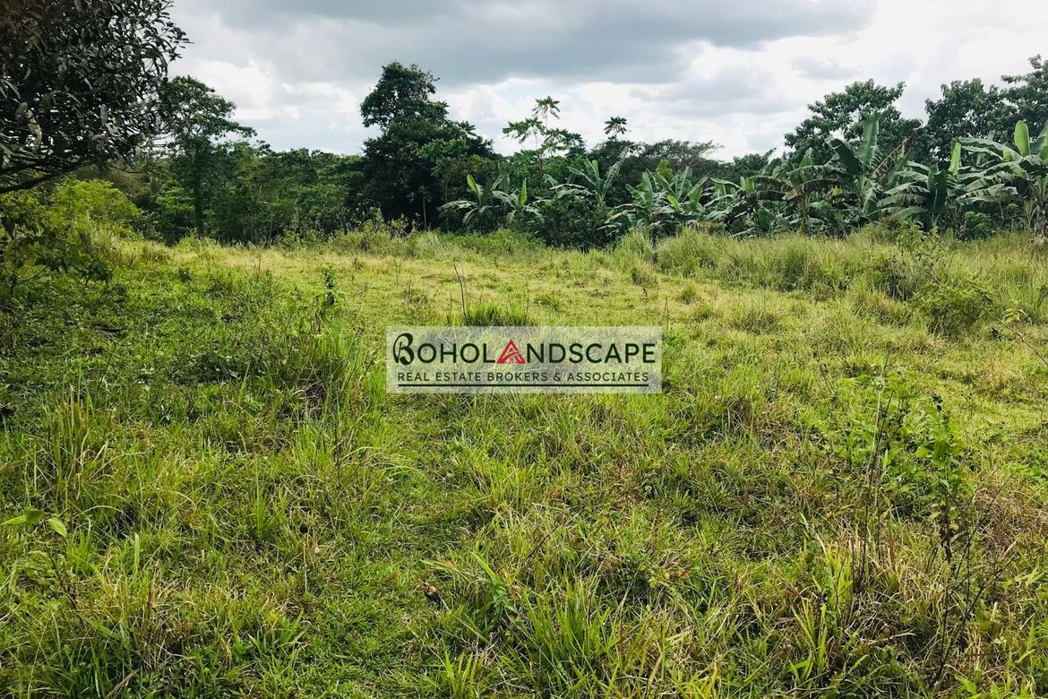 Land for Sale in Magsaysay, Sierra Bullones, Bohol – photo 4
