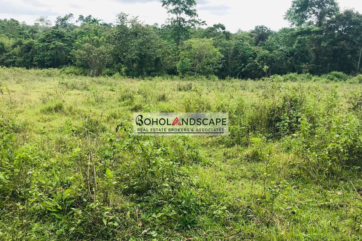 Land for Sale in Magsaysay, Sierra Bullones, Bohol – photo 5