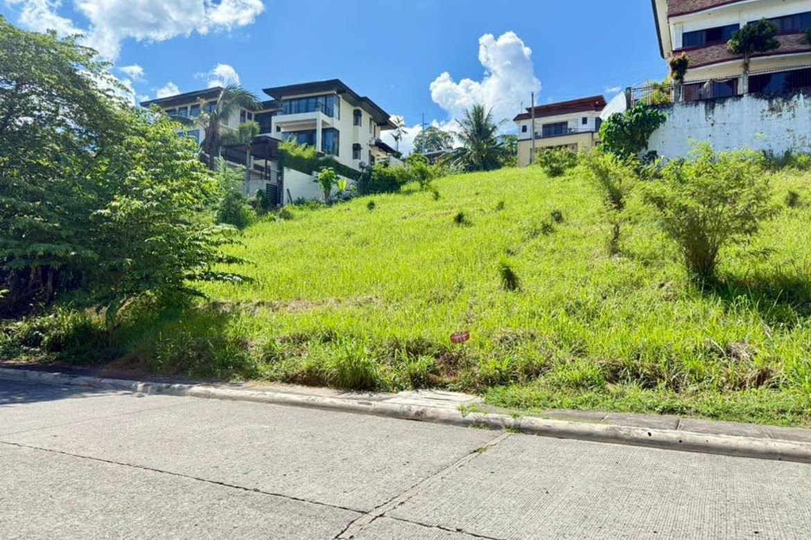 Land for Sale in Magtuod, Davao City, Davao del Sur – photo 4