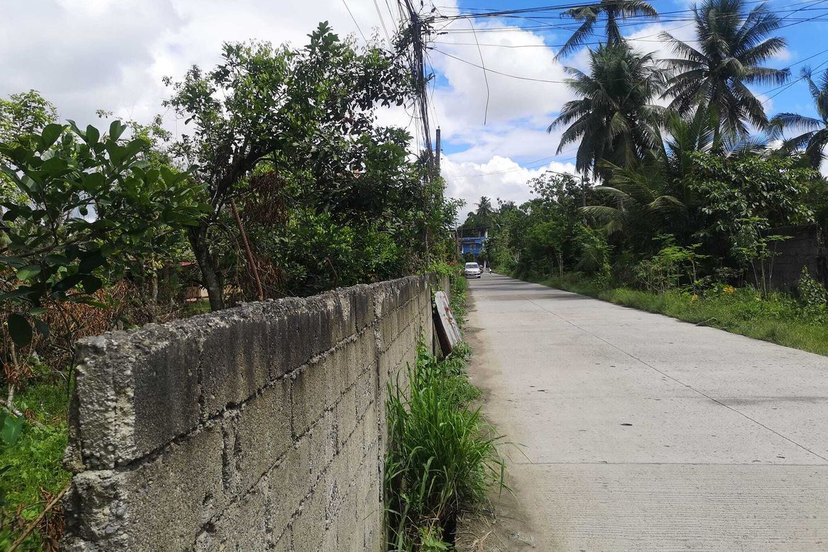 Land for Sale in Magugpo Poblacion, Tagum, Davao del Norte – photo 3
