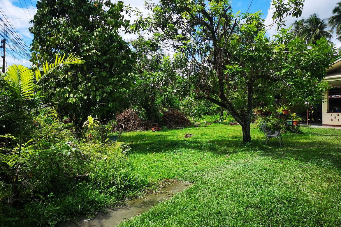 Land for Sale in Magugpo Poblacion, Tagum, Davao del Norte – photo 4