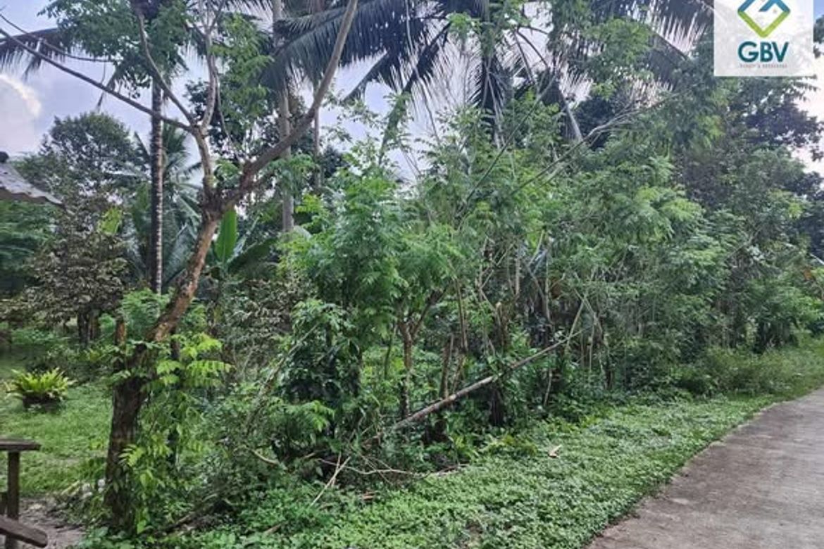 Land for Sale in Magugpo South, Tagum, Davao del Norte