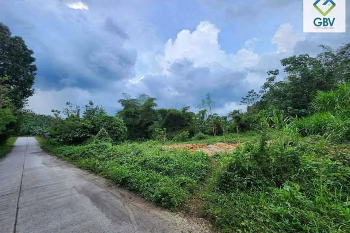 Land for Sale in Magugpo South, Tagum, Davao del Norte – photo 3
