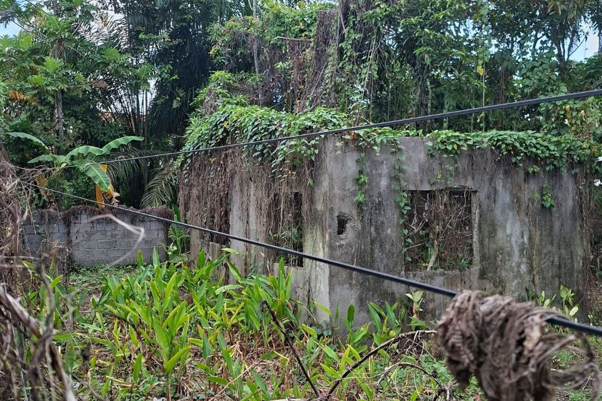 Land for Sale in Magugpo South, Tagum, Davao del Norte – photo 2