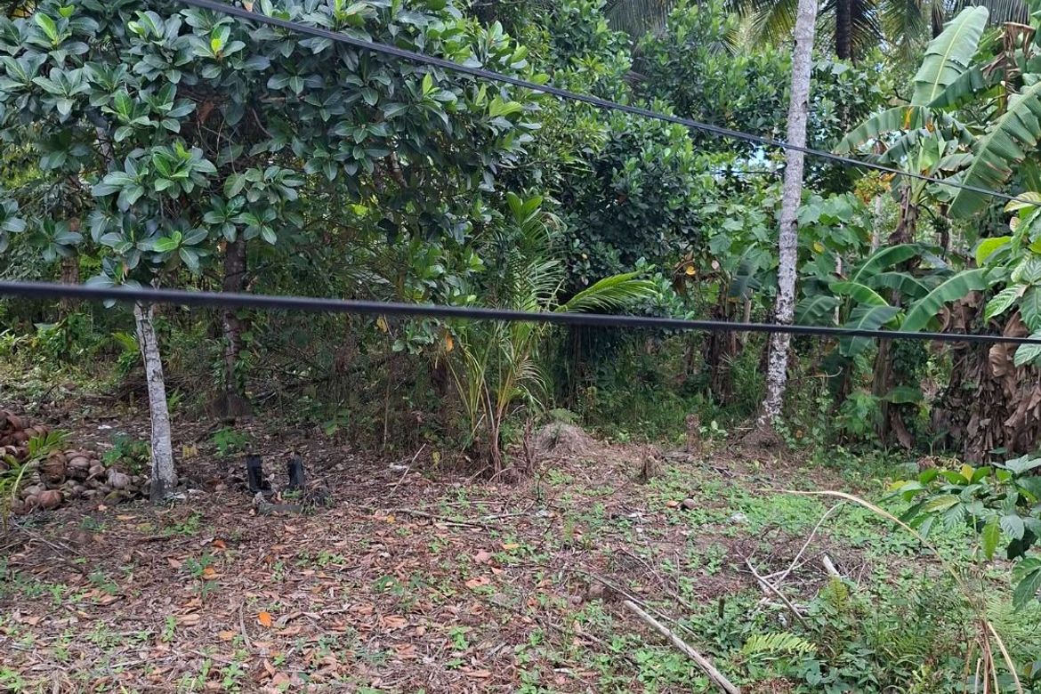 Land for Sale in Magugpo South, Tagum, Davao del Norte – photo 4