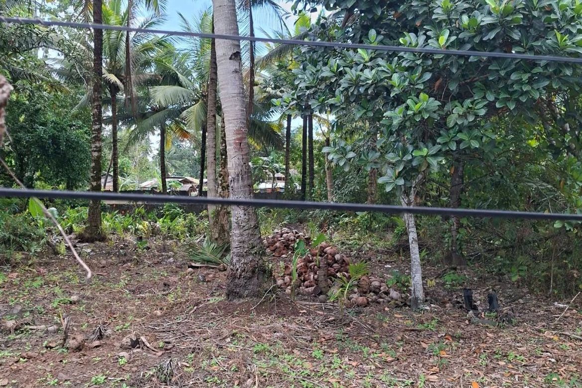 Land for Sale in Magugpo South, Tagum, Davao del Norte – photo 5