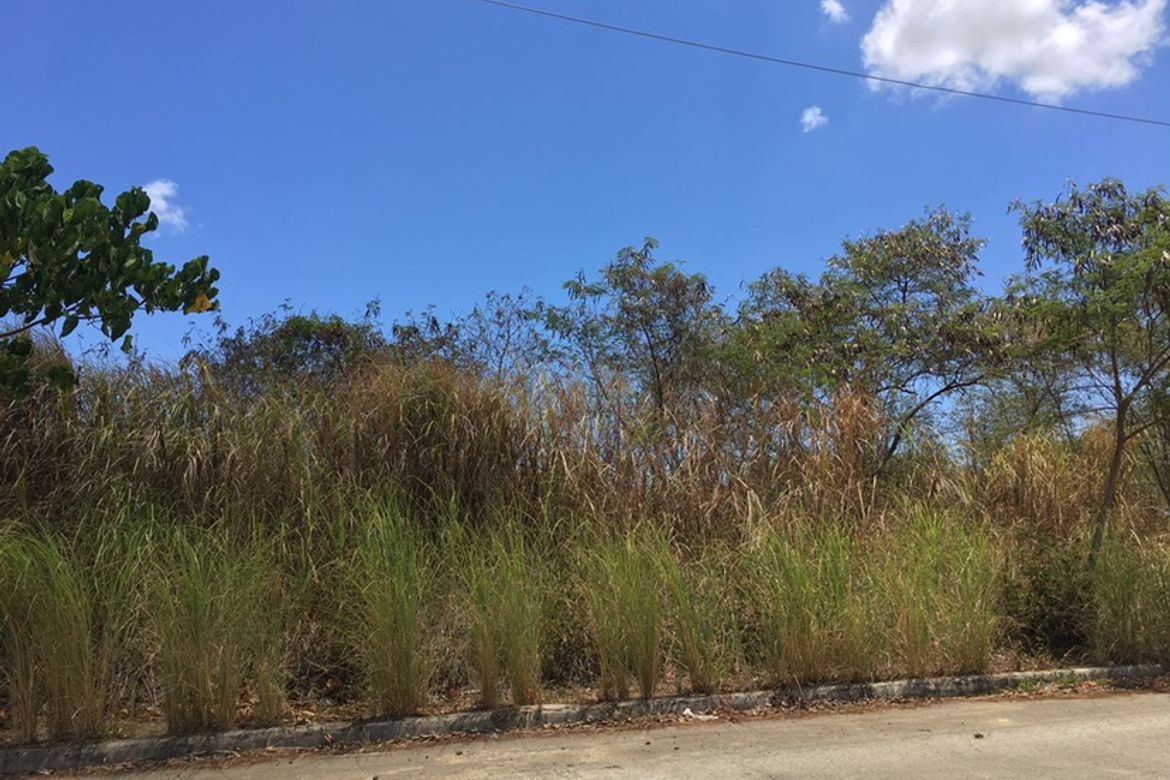 Land for Sale in Maguyam, Silang, Cavite – photo 2