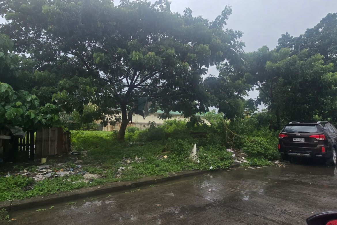 Land for Sale in Maguyam, Silang, Cavite – photo 5