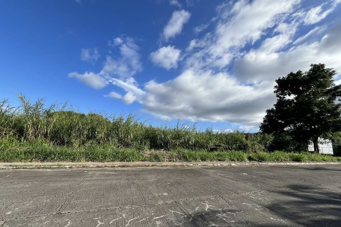 Land for Sale in Maguyam, Silang, Cavite – photo 4
