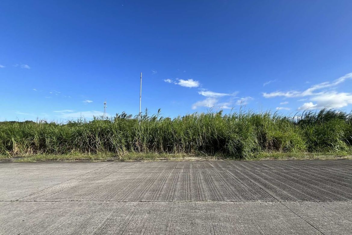 Land for Sale in Maguyam, Silang, Cavite – photo 6