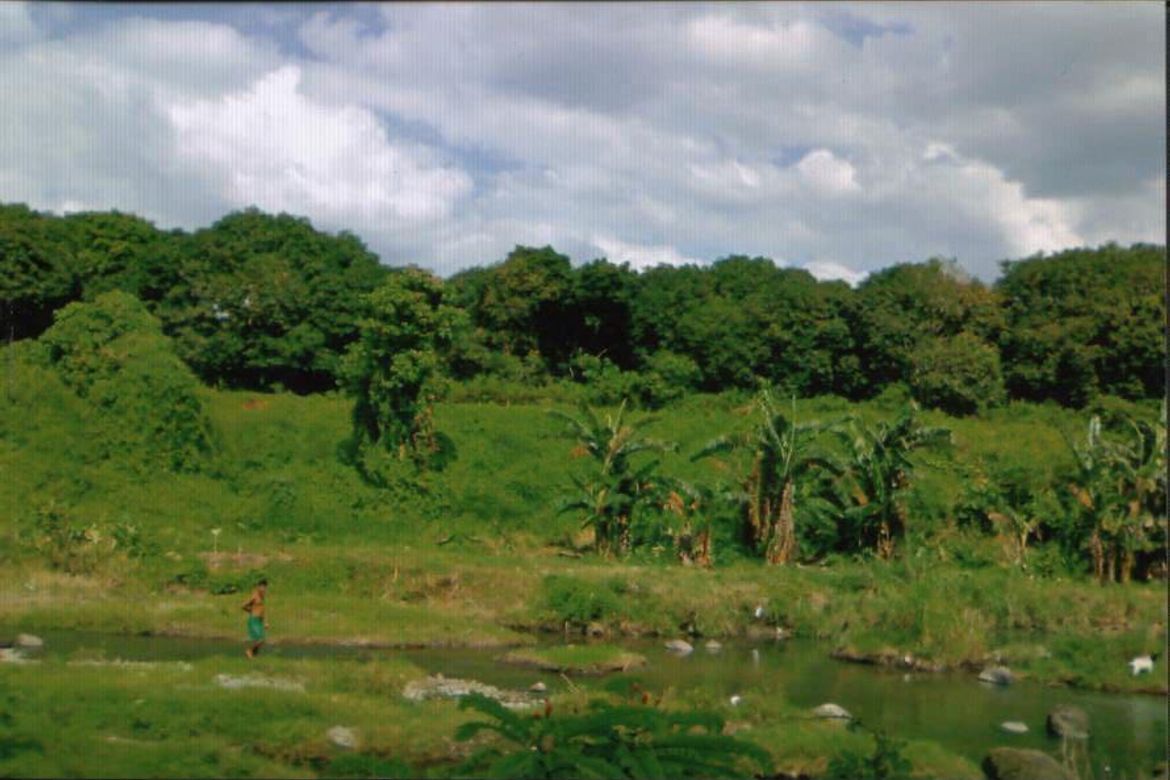 Land for Sale in Mahabang Dahilig, Batangas City, Batangas – photo 3