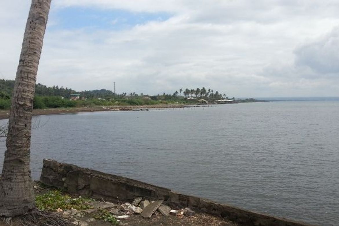 Land for Sale in Mahabang Dahilig, Lemery, Batangas – photo 3