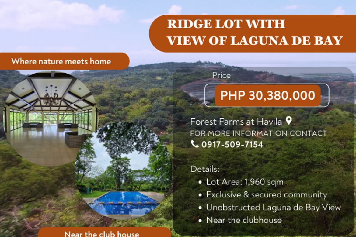 Land for Sale in Mahabang Parang, Angono, Rizal