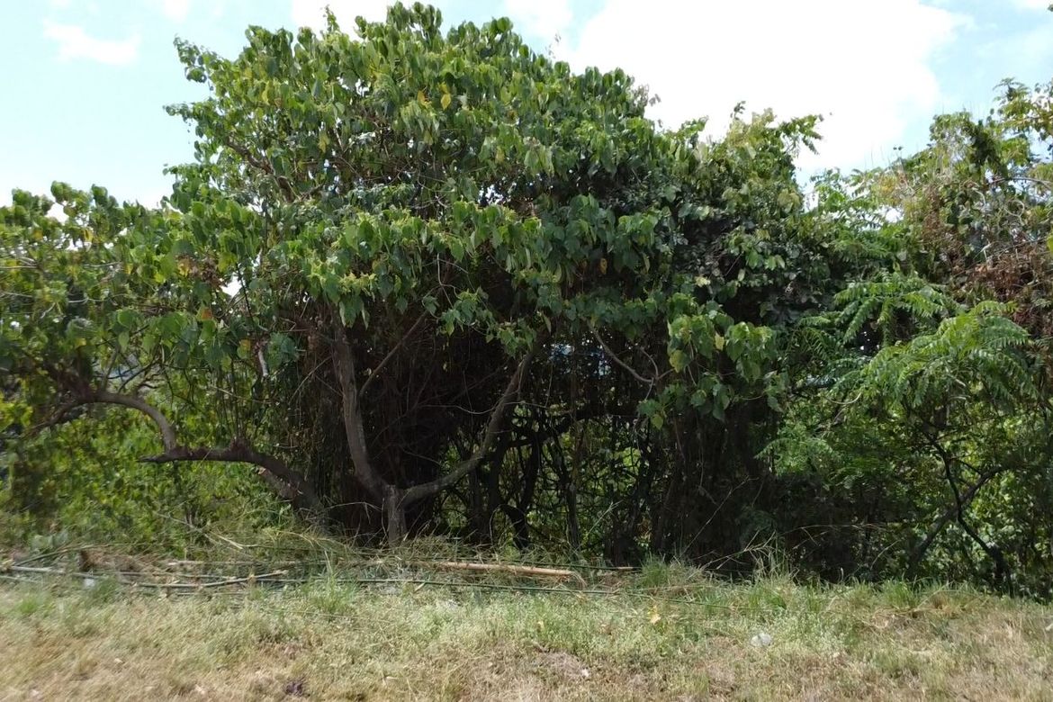 Land for Sale in Mahabang Parang, Angono, Rizal – photo 3