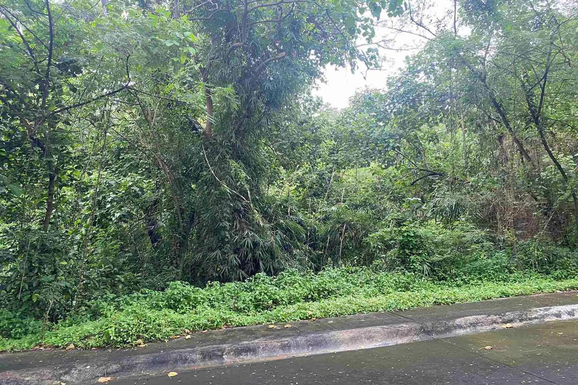 Land for Sale in Mahabang Parang, Angono, Rizal – photo 2