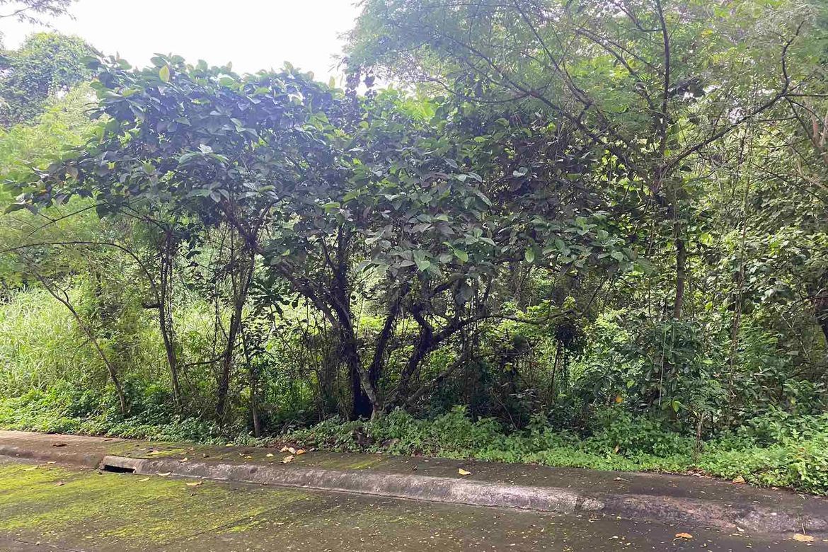 Land for Sale in Mahabang Parang, Angono, Rizal – photo 3