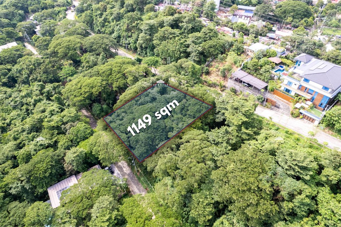 Land for Sale in Mahabang Parang, Angono, Rizal