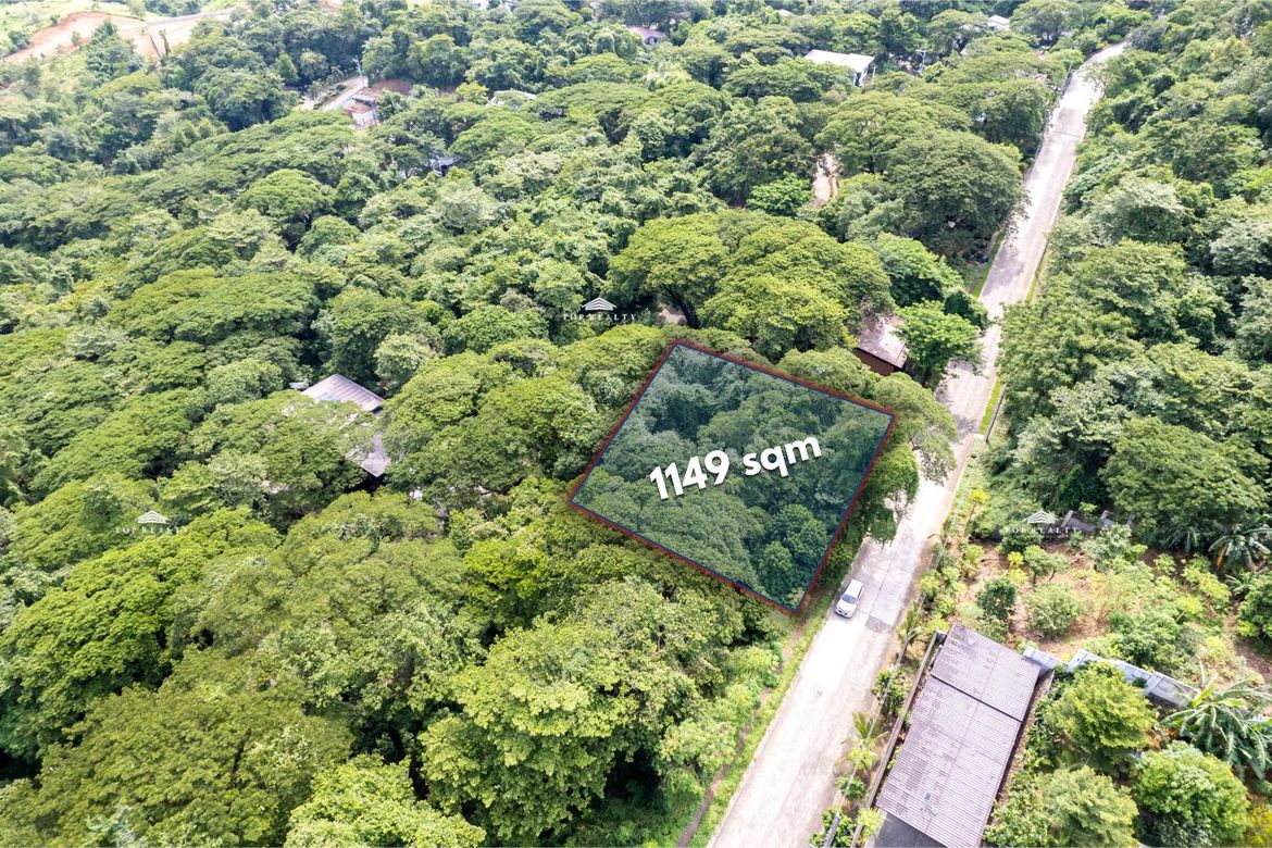 Land for Sale in Mahabang Parang, Angono, Rizal – photo 2