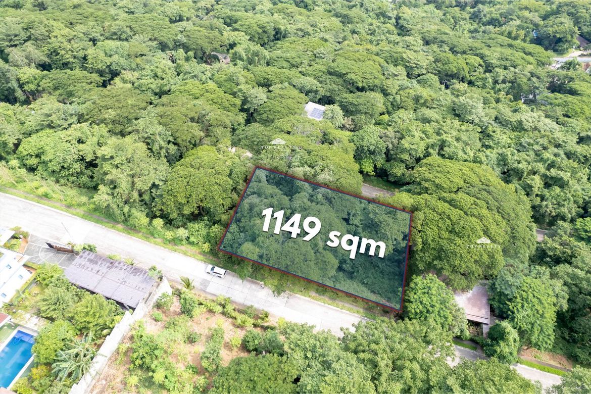 Land for Sale in Mahabang Parang, Angono, Rizal – photo 3