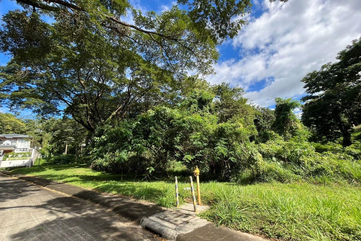 Land for Sale in Mahabang Parang, Angono, Rizal