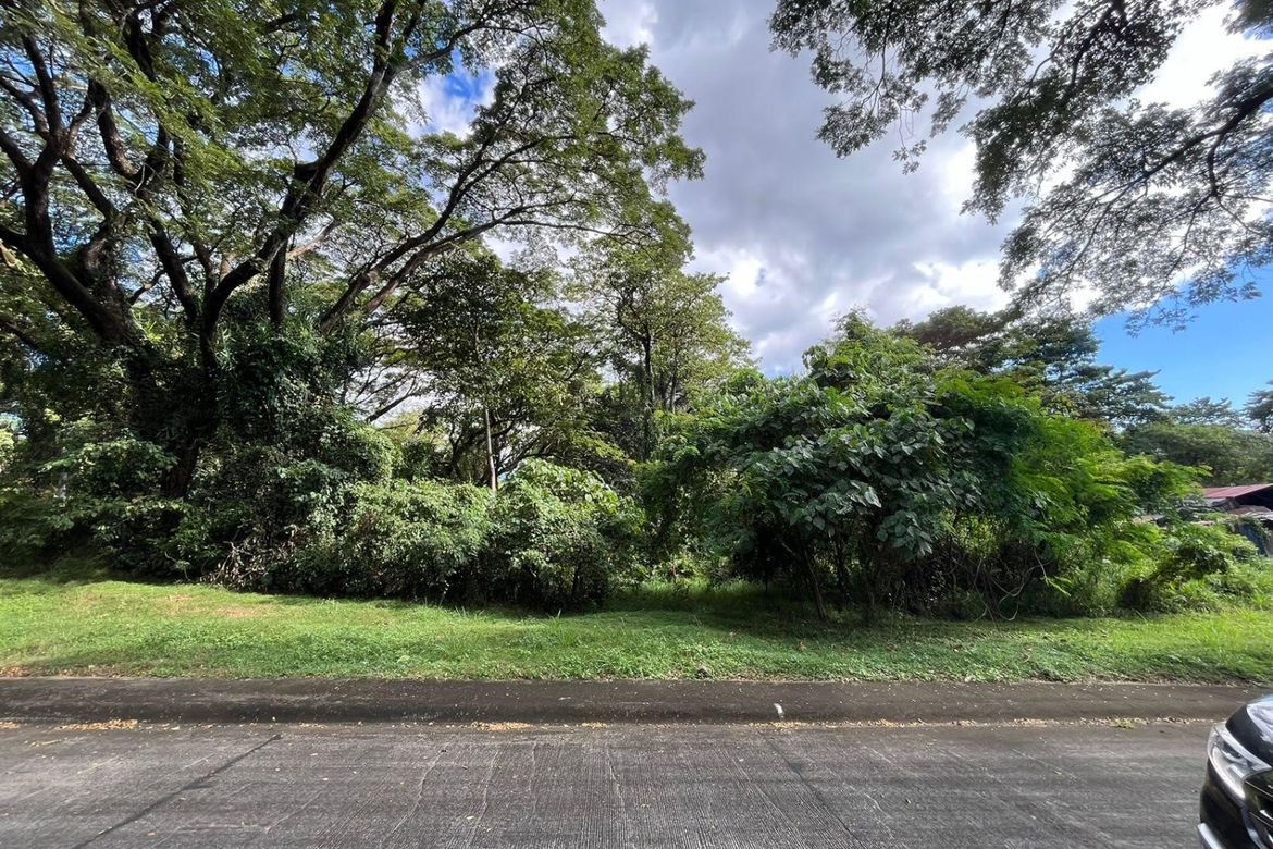 Land for Sale in Mahabang Parang, Angono, Rizal – photo 3