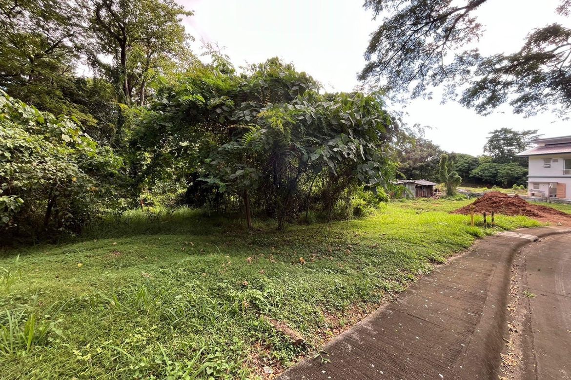 Land for Sale in Mahabang Parang, Angono, Rizal – photo 4