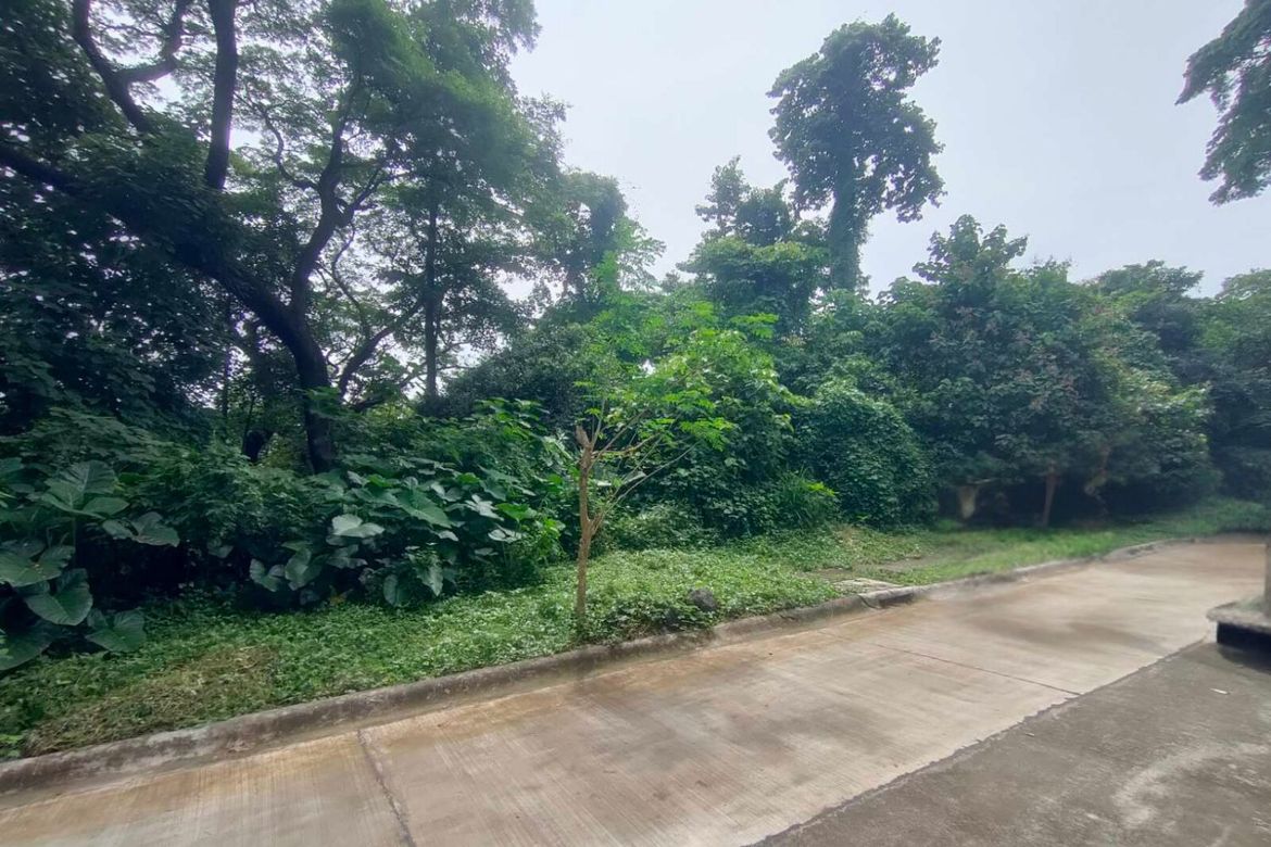 Land for Sale in Mahabang Parang, Angono, Rizal – photo 2