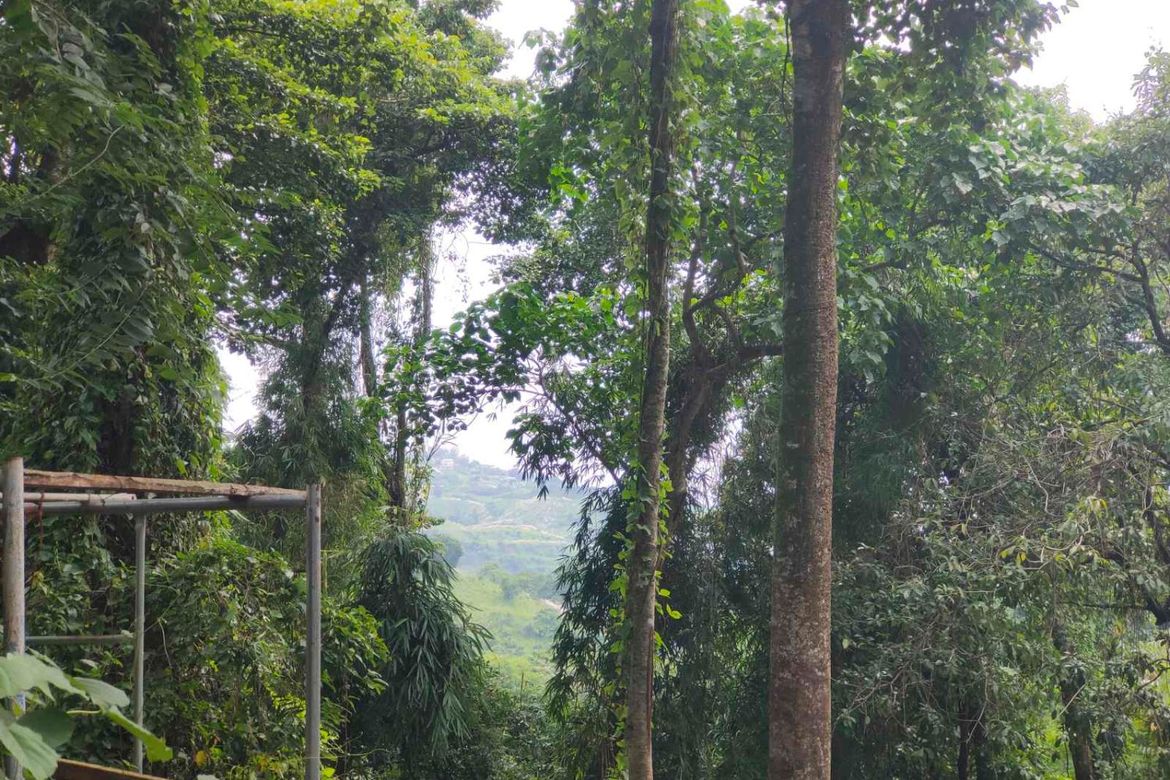 Land for Sale in Mahabang Parang, Angono, Rizal – photo 4