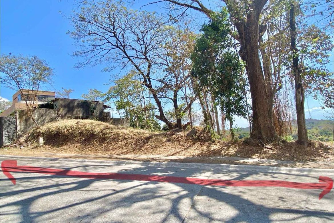 Land for Sale in Mahabang Parang, Angono, Rizal