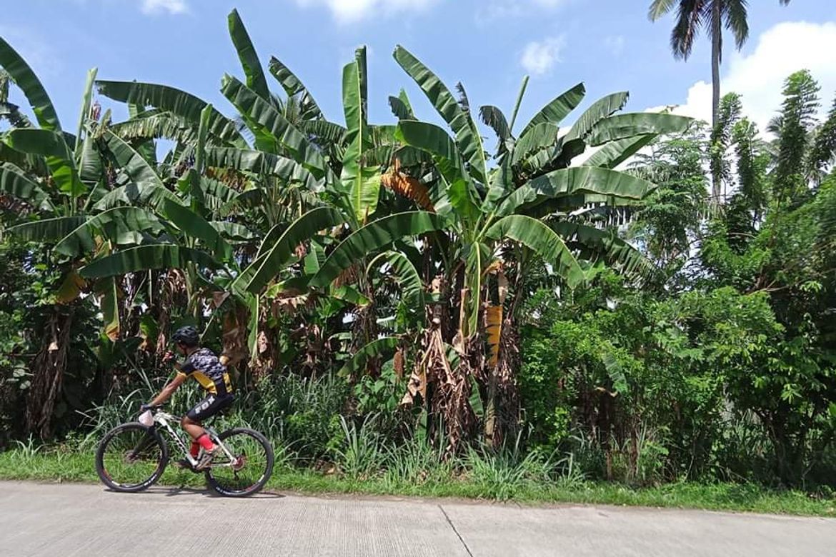 Land for Sale in Mahabangkahoy Lejos, Indang, Cavite – photo 3