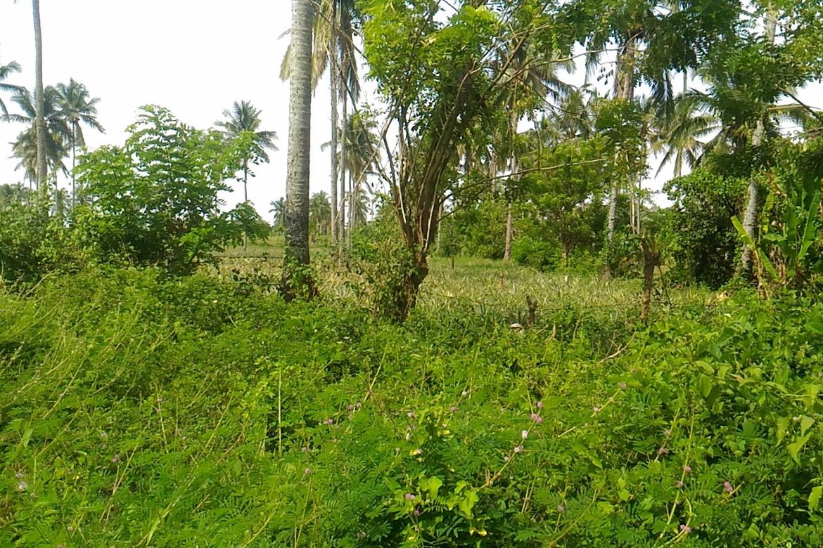 Land for Sale in Mahabangkahoy Lejos, Indang, Cavite