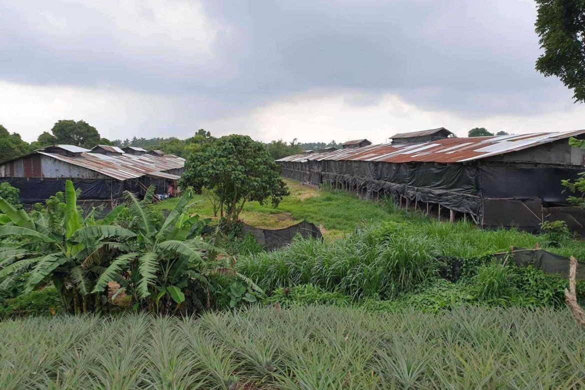 Land for Sale in Mahabangkahoy Lejos, Indang, Cavite – photo 4