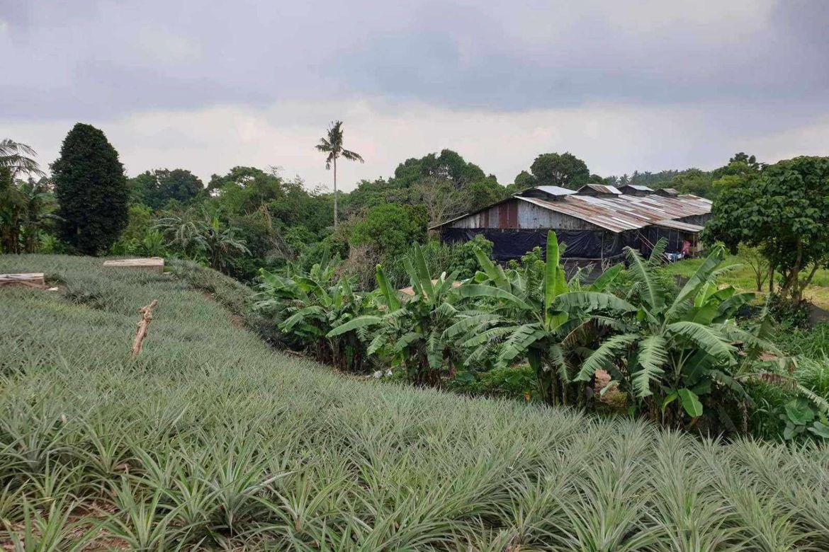 Land for Sale in Mahabangkahoy Lejos, Indang, Cavite – photo 5