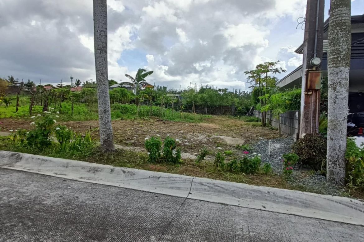 Land for Sale in Maharlika East, Tagaytay, Cavite – photo 3