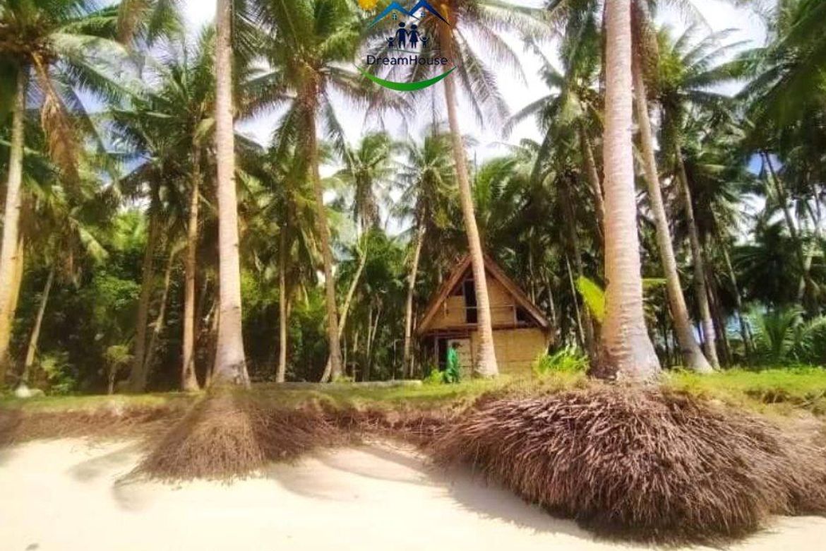 Land for Sale in Mahayahay, Del Carmen, Surigao del Norte – photo 8