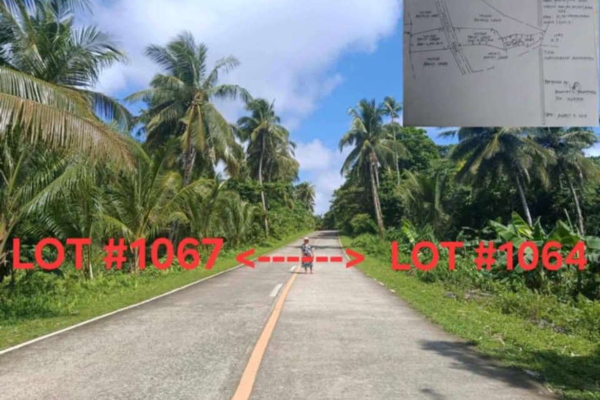 Land for Sale in Mahayahay, Del Carmen, Surigao del Norte
