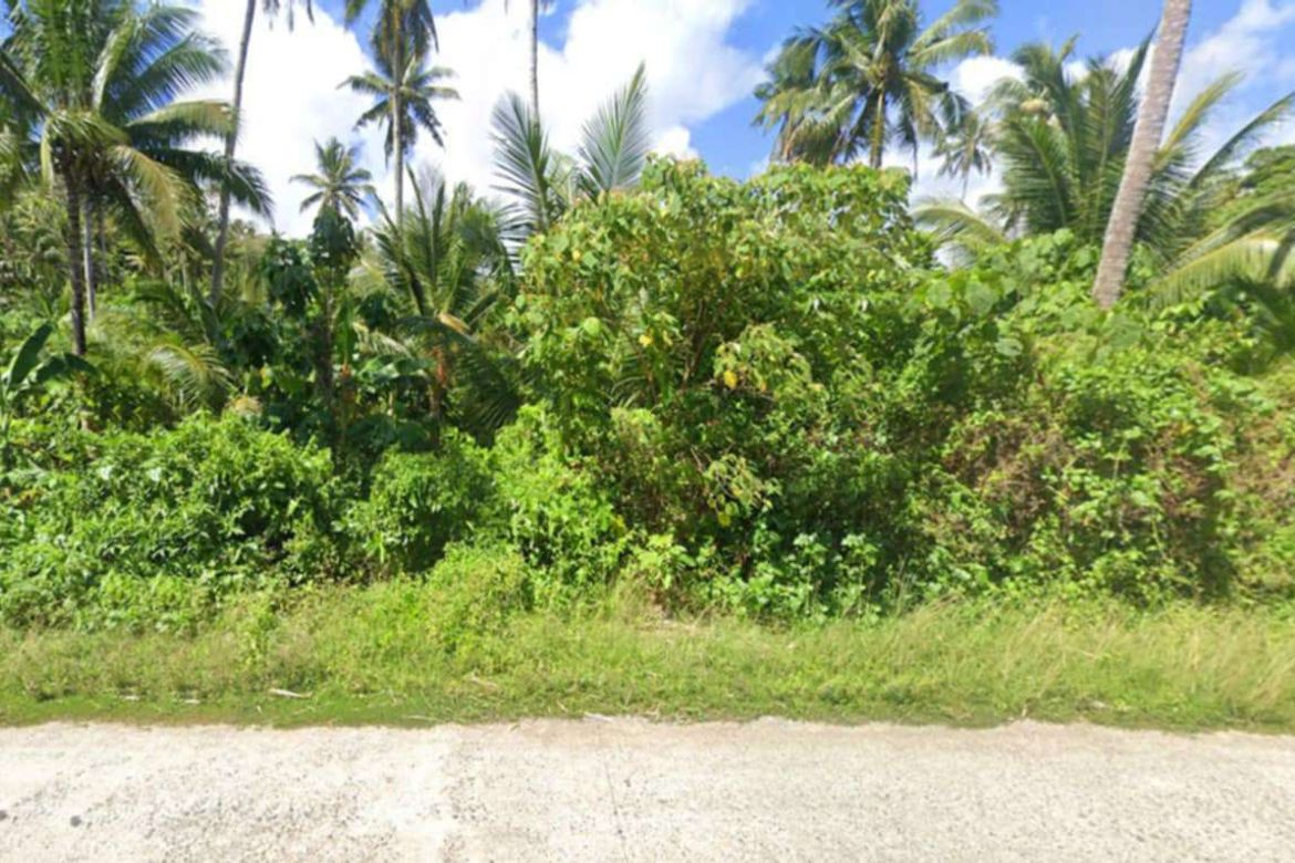Land for Sale in Mahayahay, Del Carmen, Surigao del Norte – photo 2