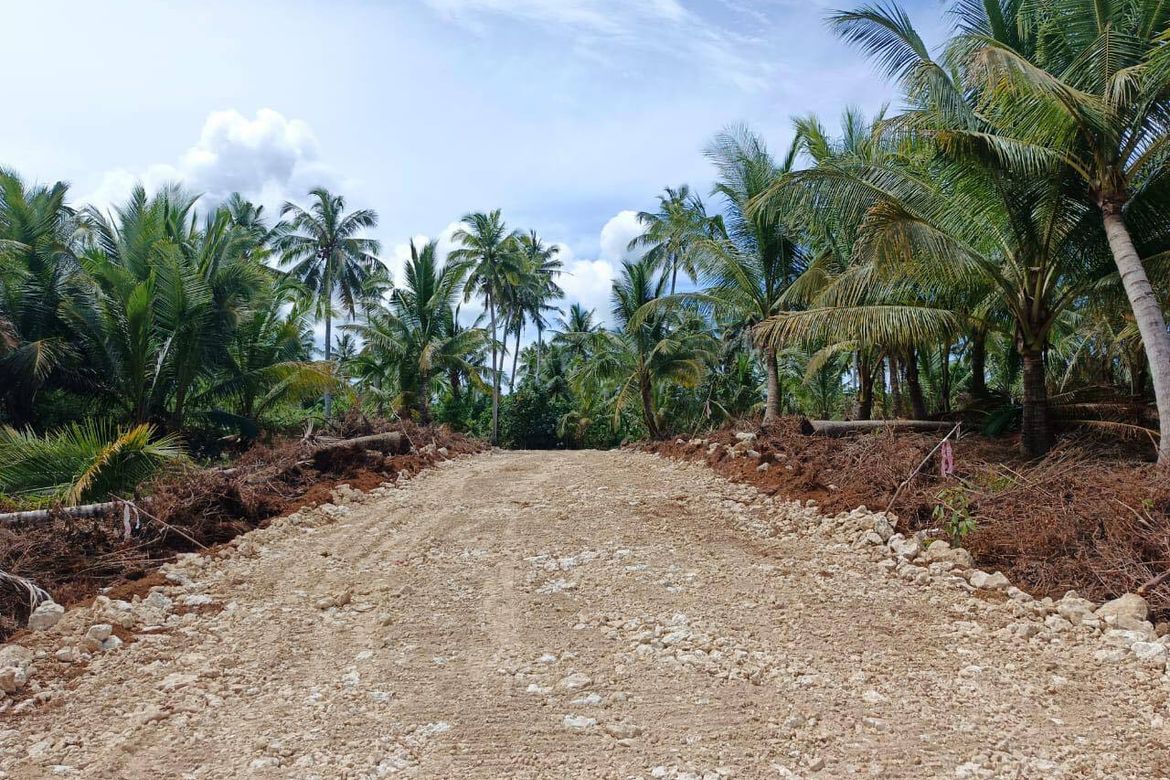 Land for Sale in Mahayahay, Del Carmen, Surigao del Norte – photo 3