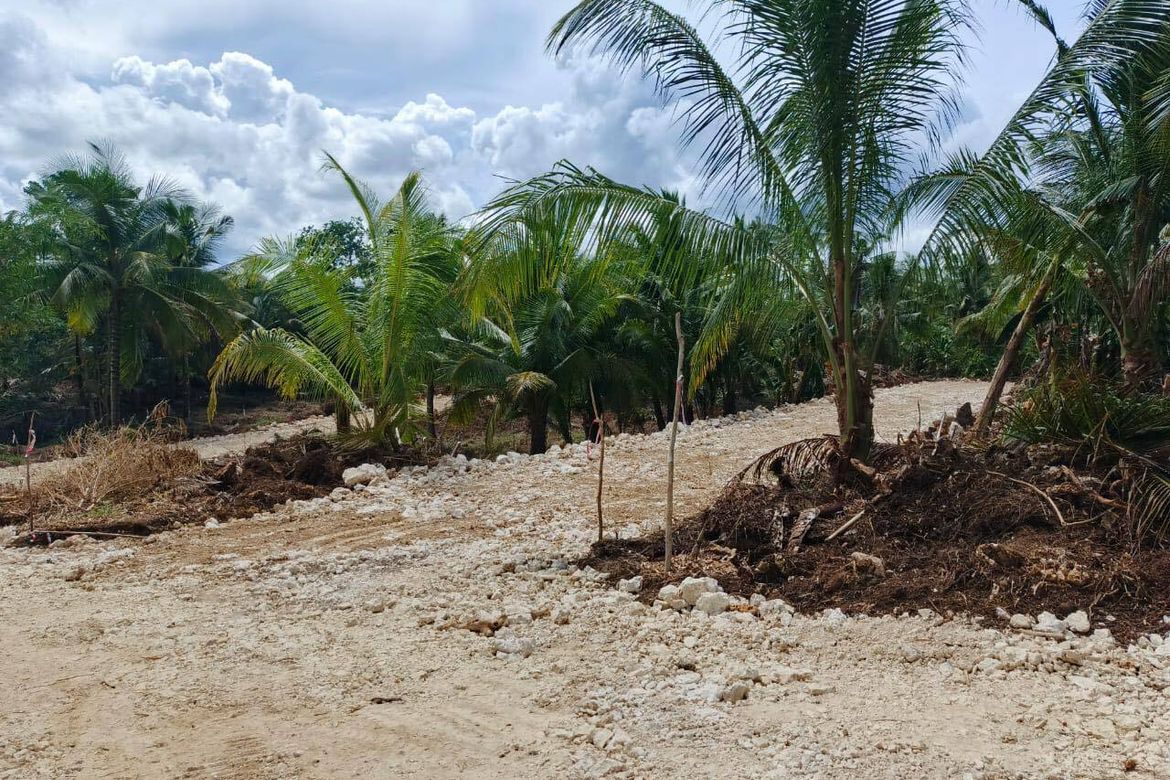 Land for Sale in Mahayahay, Del Carmen, Surigao del Norte – photo 4