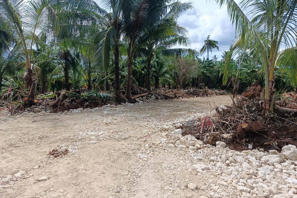 Land for Sale in Mahayahay, Del Carmen, Surigao del Norte – photo 7