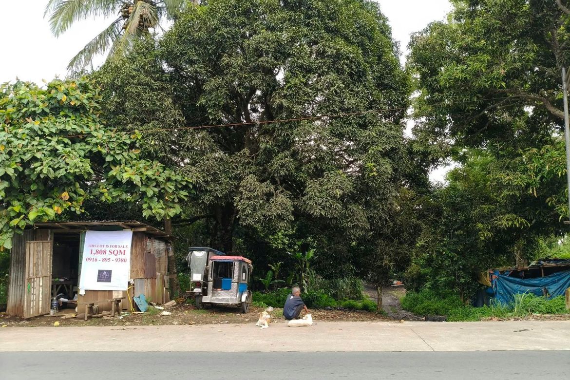 Land for Sale in Maitim 2nd East, Tagaytay, Cavite – photo 3