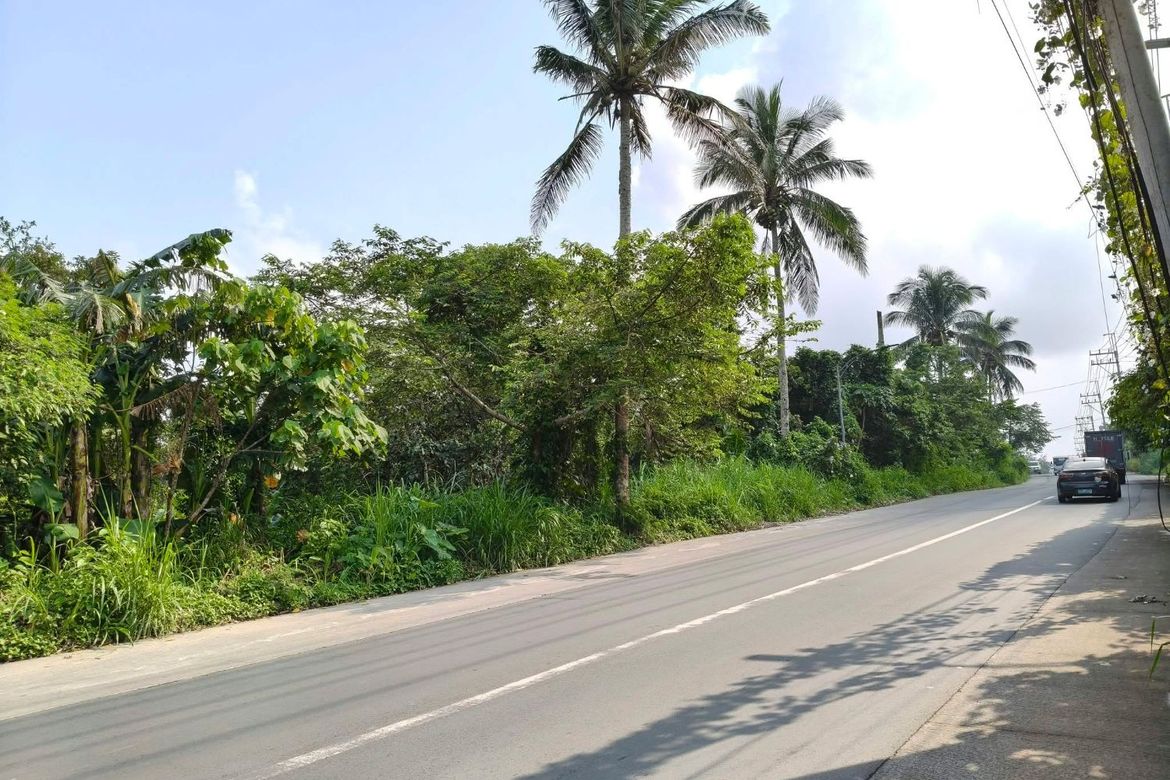 Land for Sale in Maitim 2nd East, Tagaytay, Cavite – photo 6