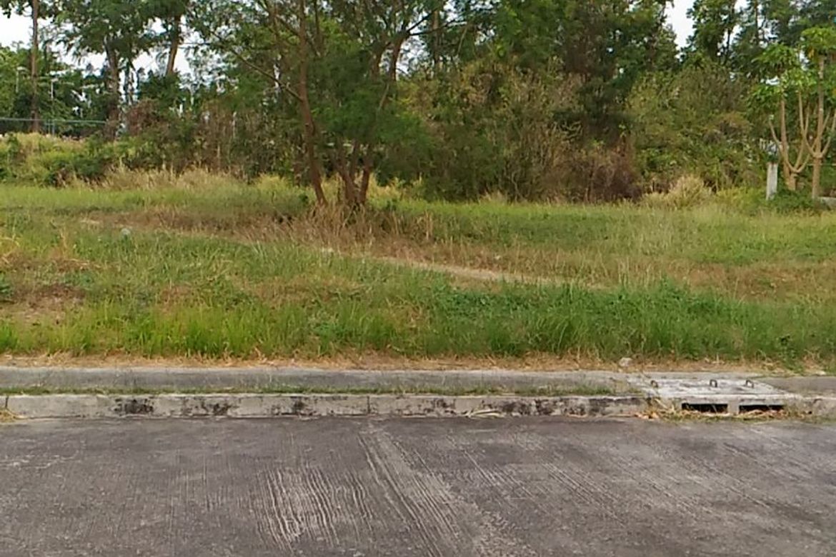 Land for Sale in Maitim 2nd East, Tagaytay, Cavite – photo 4