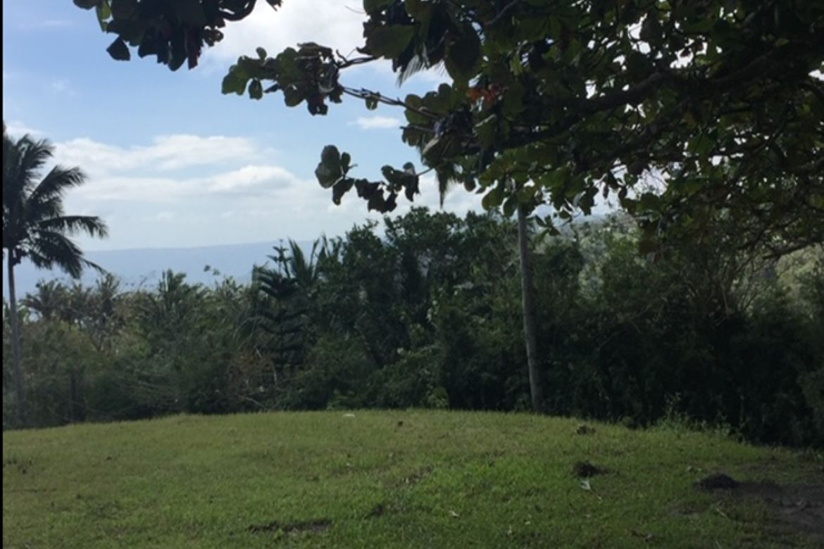 Land for Sale in Maitim 2nd East, Tagaytay, Cavite – photo 3
