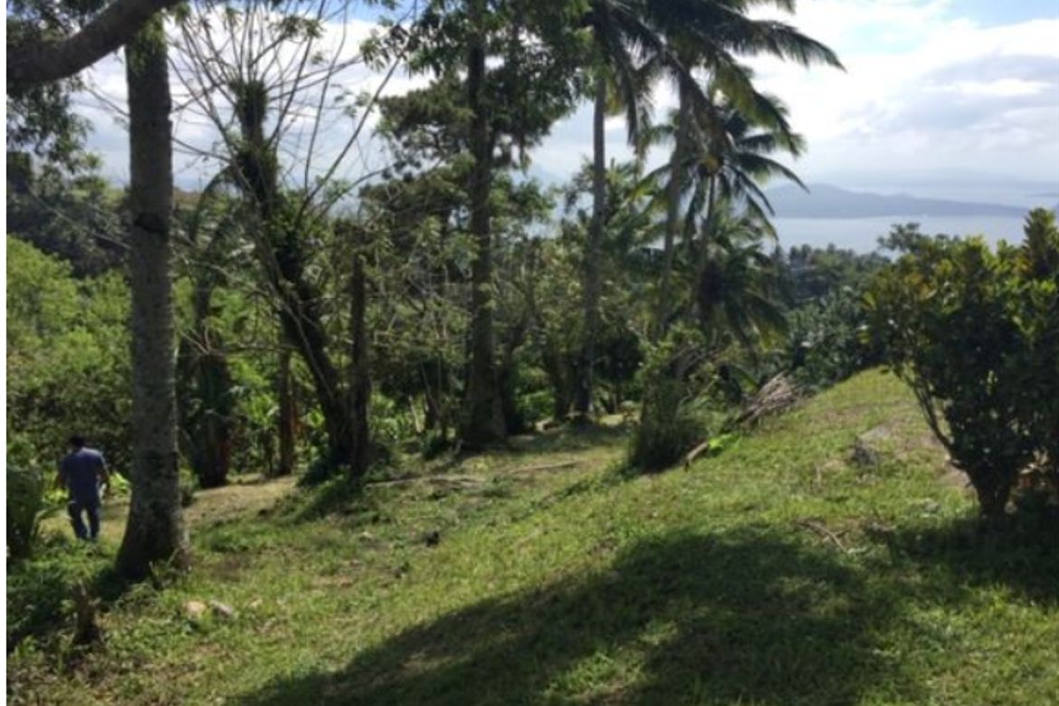 Land for Sale in Maitim 2nd East, Tagaytay, Cavite – photo 4
