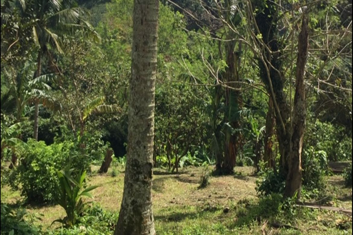 Land for Sale in Maitim 2nd East, Tagaytay, Cavite – photo 6