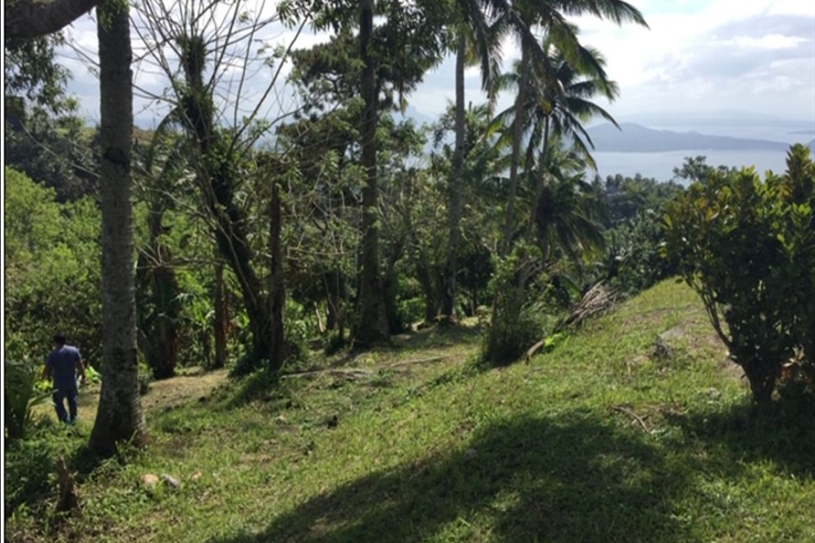Land for Sale in Maitim 2nd East, Tagaytay, Cavite – photo 7