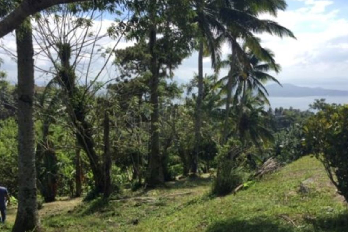 Land for Sale in Maitim 2nd East, Tagaytay, Cavite – photo 8