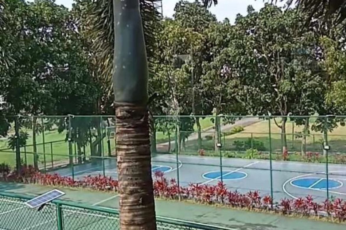 Land for Sale in Maitim 2nd West, Tagaytay, Cavite – photo 4
