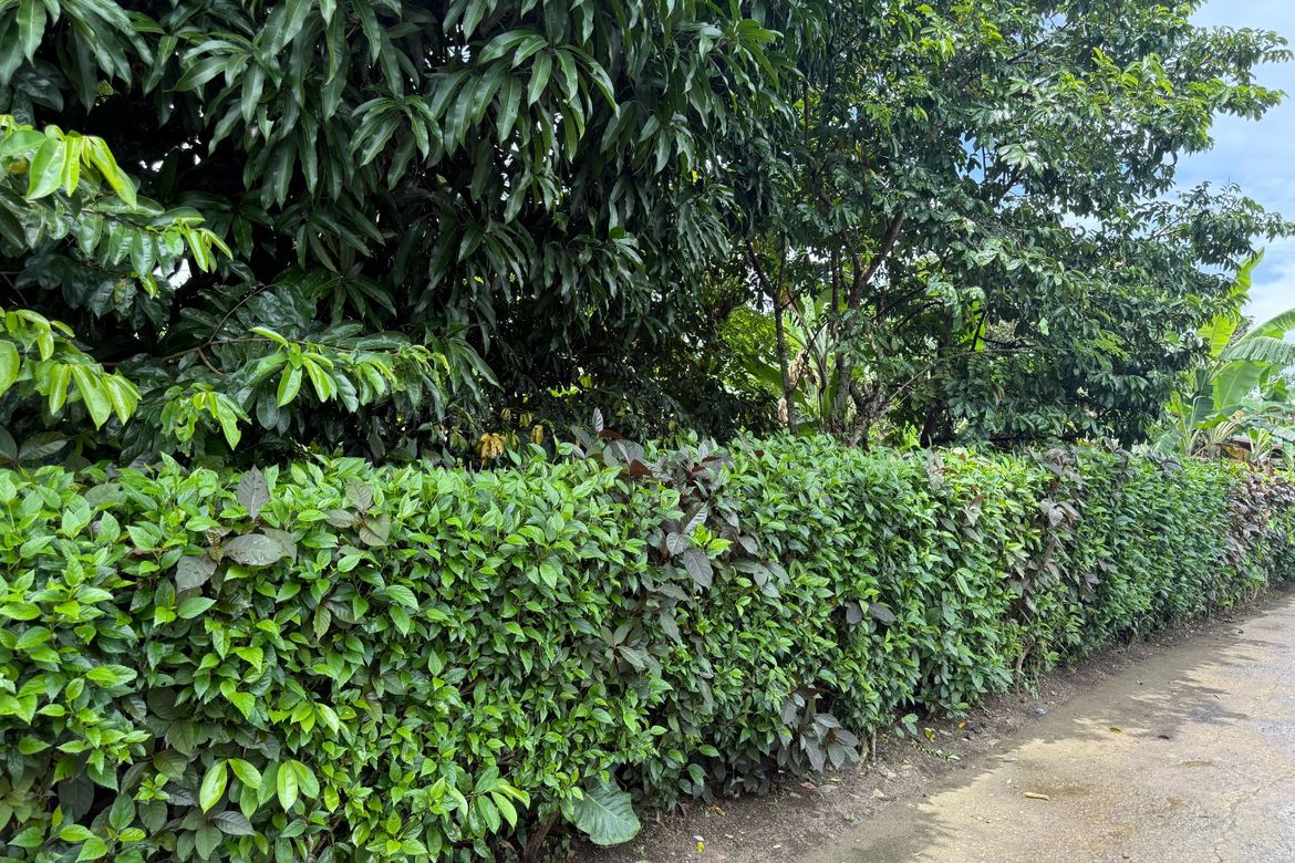 Land for Sale in Maitim I, Amadeo, Cavite